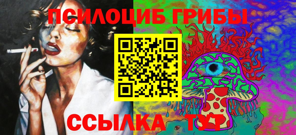 Псилоцибиновые грибы MAGIC MUSHROOMS  магазин продажи   Псилоцибиновые грибы Psilocybine cubensis  Малгобек  Вход с VPN 